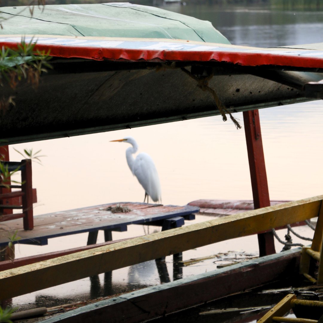 Garza Xochimilco